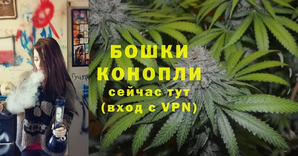 круглые Рославль