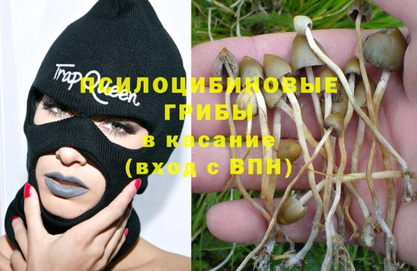прущая мука Заводоуковск