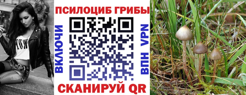 Галлюциногенные грибы Magic Shrooms  как найти   Свирск 